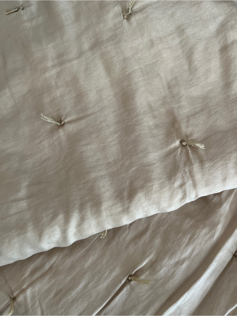 Pottery Barn Cotton & Silk Tufted Standard Shams – Set of 2 – Champagne
